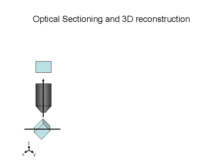 Optical Sectioning and 3 D reconstruction z x y 