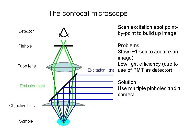 The confocal microscope Scan excitation spot pointby-point to build up image Detector Pinhole Tube