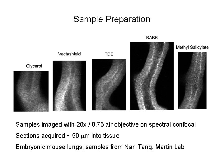 Sample Preparation Samples imaged with 20 x / 0. 75 air objective on spectral