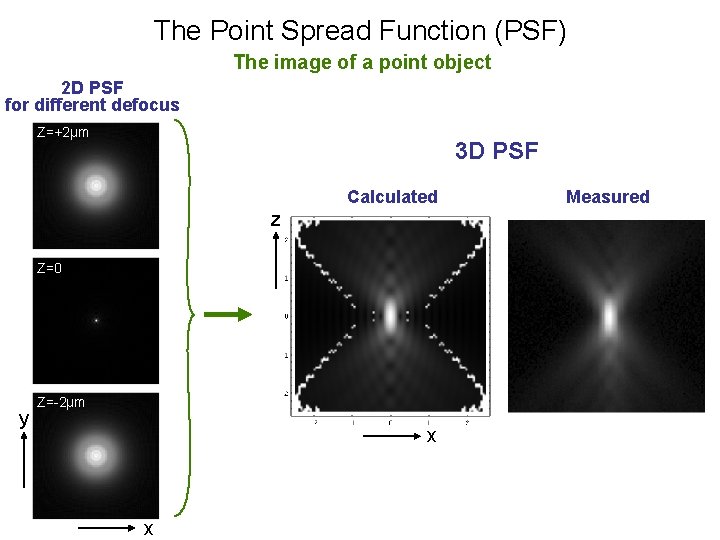 The Point Spread Function (PSF) The image of a point object 2 D PSF