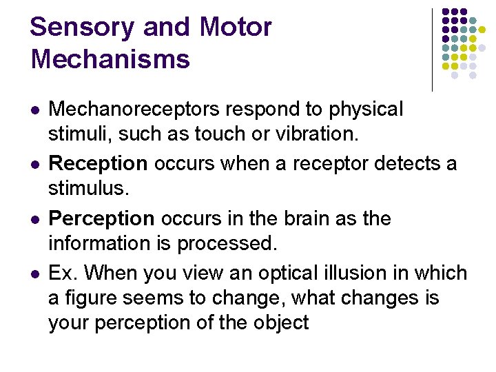 Sensory and Motor Mechanisms l l Mechanoreceptors respond to physical stimuli, such as touch