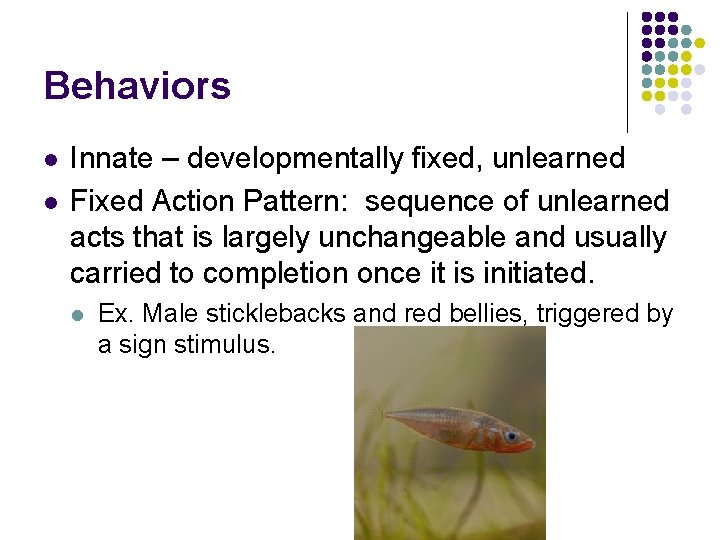 Behaviors l l Innate – developmentally fixed, unlearned Fixed Action Pattern: sequence of unlearned
