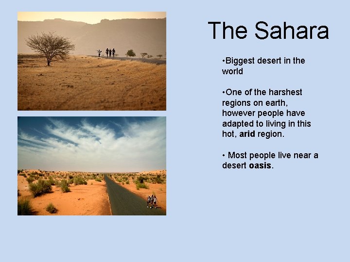 The Sahara • Biggest desert in the world • One of the harshest regions