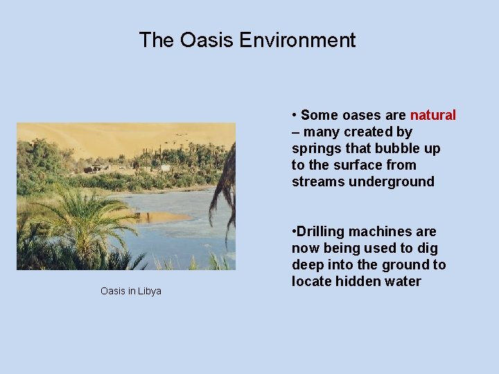 The Oasis Environment • Some oases are natural – many created by springs that