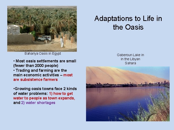 Adaptations to Life in the Oasis Bahariya Oasis in Egypt • Most oasis settlements