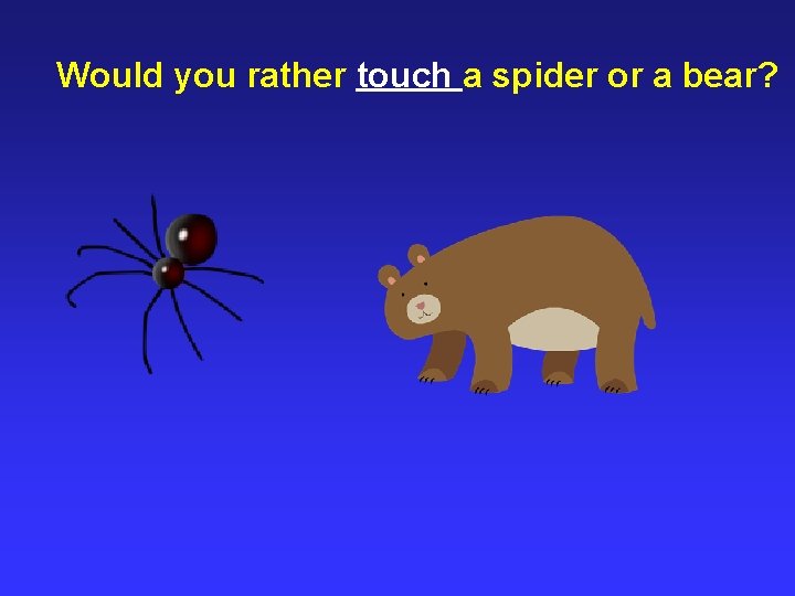 Would you rather touch a spider or a bear? 