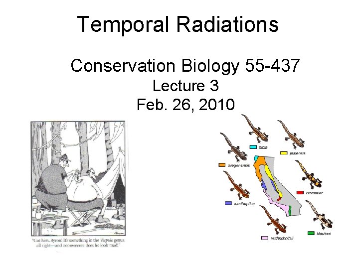 Temporal Radiations Conservation Biology 55 -437 Lecture 3 Feb. 26, 2010 
