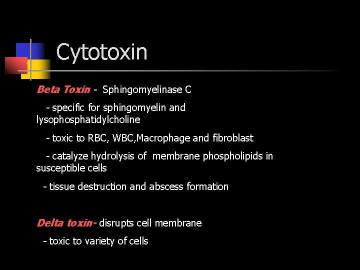 Cytotoxin Beta Toxin - Sphingomyelinase C - specific for sphingomyelin and lysophosphatidylcholine - toxic