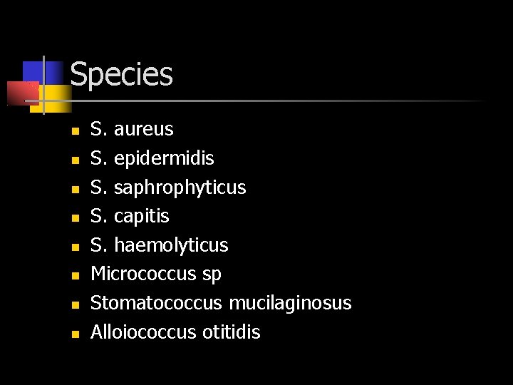 Species S. aureus S. epidermidis S. saphrophyticus S. capitis S. haemolyticus Micrococcus sp Stomatococcus