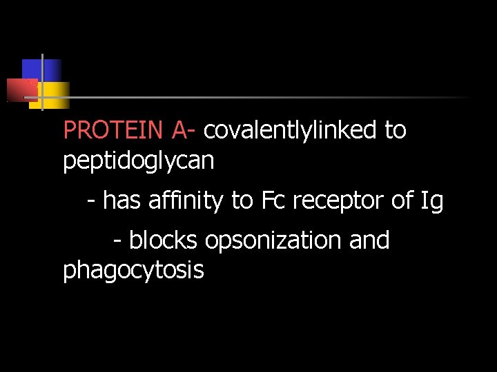 PROTEIN A- covalentlylinked to peptidoglycan - has affinity to Fc receptor of Ig -