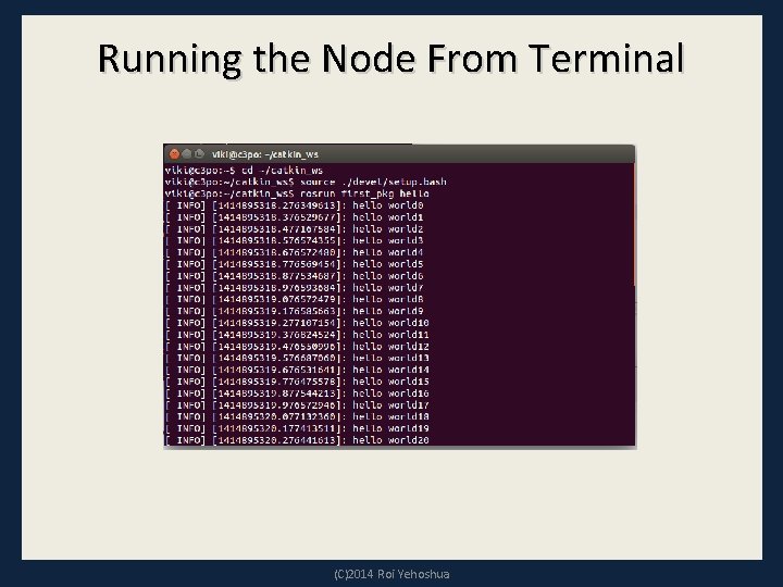 Running the Node From Terminal (C)2014 Roi Yehoshua 