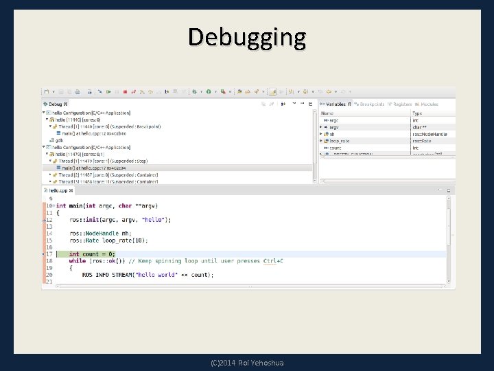 Debugging (C)2014 Roi Yehoshua 