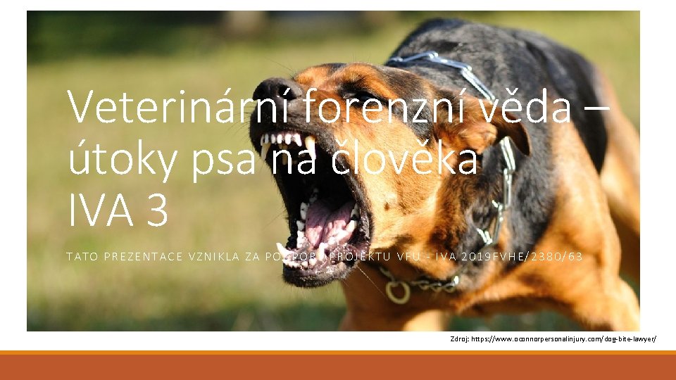 Veterinární forenzní věda – útoky psa na člověka IVA 3 TATO PREZENTACE VZNIKLA ZA