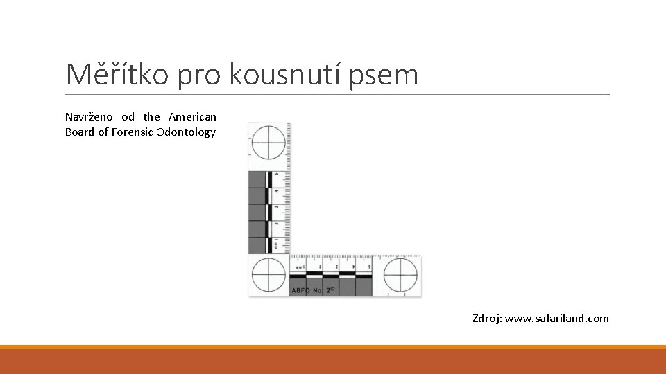 Měřítko pro kousnutí psem Navrženo od the American Board of Forensic Odontology Zdroj: www.