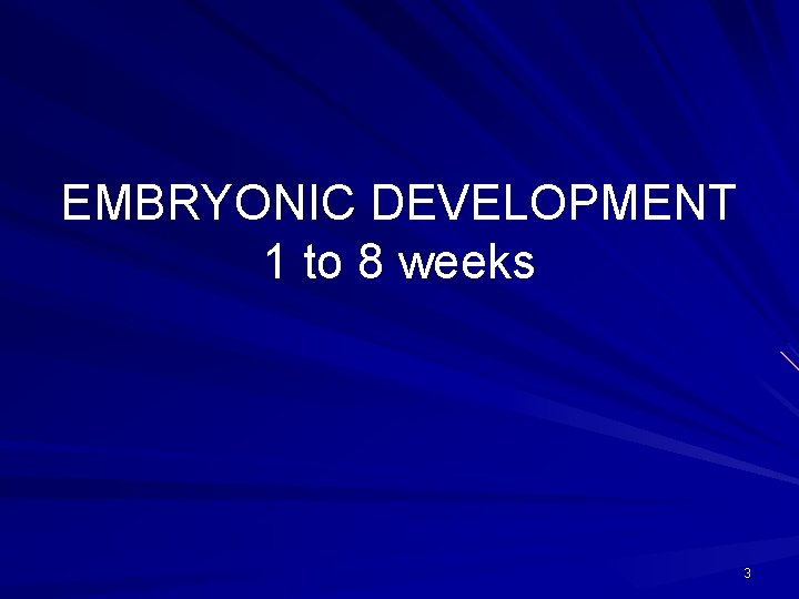 EMBRYONIC DEVELOPMENT 1 to 8 weeks 3 