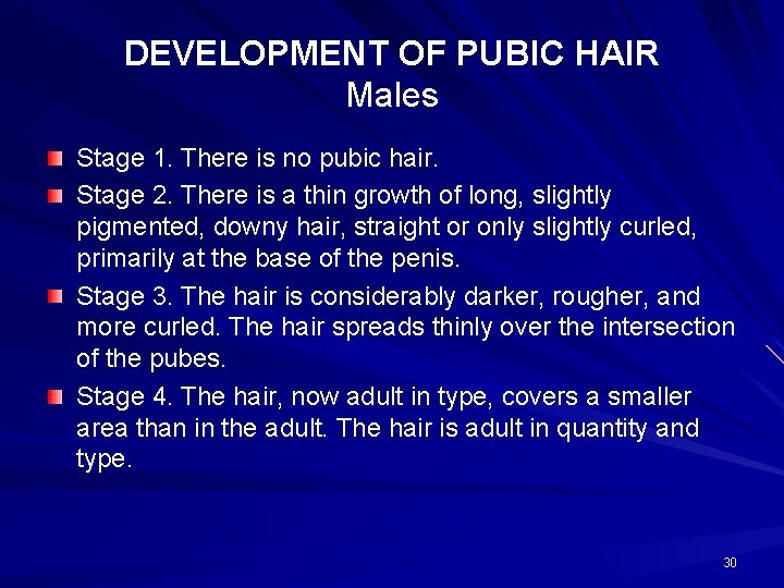 DEVELOPMENT OF PUBIC HAIR Males Stage 1. There is no pubic hair. Stage 2.