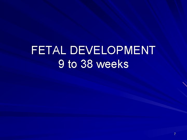 FETAL DEVELOPMENT 9 to 38 weeks 7 
