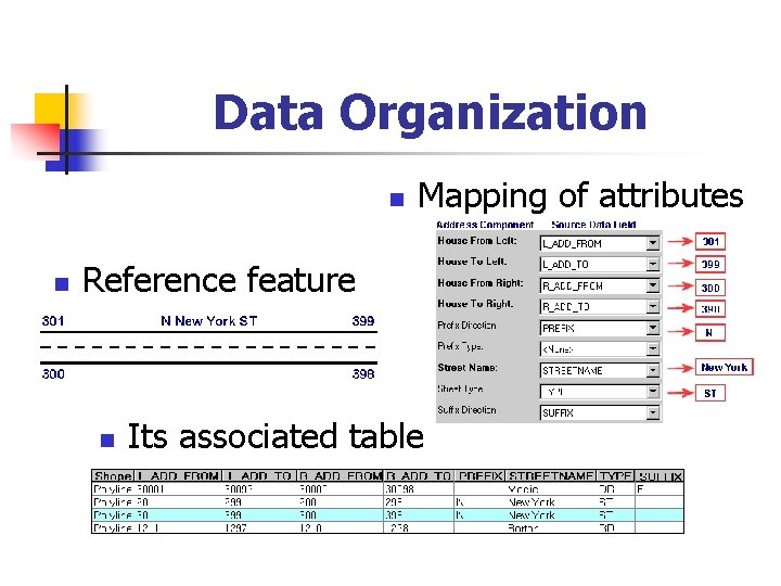 Data Organization n n Mapping of attributes Reference feature n Its associated table 