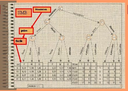 SMB Manutention prise facile 25 SMB Manutention prise facile 25