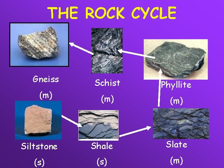 THE ROCK CYCLE Gneiss (m) Schist Phyllite (m) Siltstone Shale Slate (s) (m) 