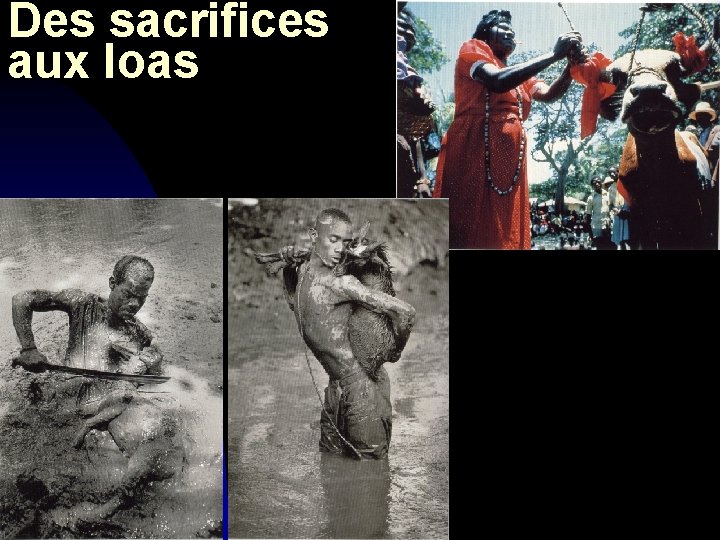 Des sacrifices aux loas 