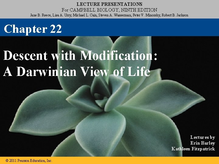 LECTURE PRESENTATIONS For CAMPBELL BIOLOGY, NINTH EDITION Jane B. Reece, Lisa A. Urry, Michael