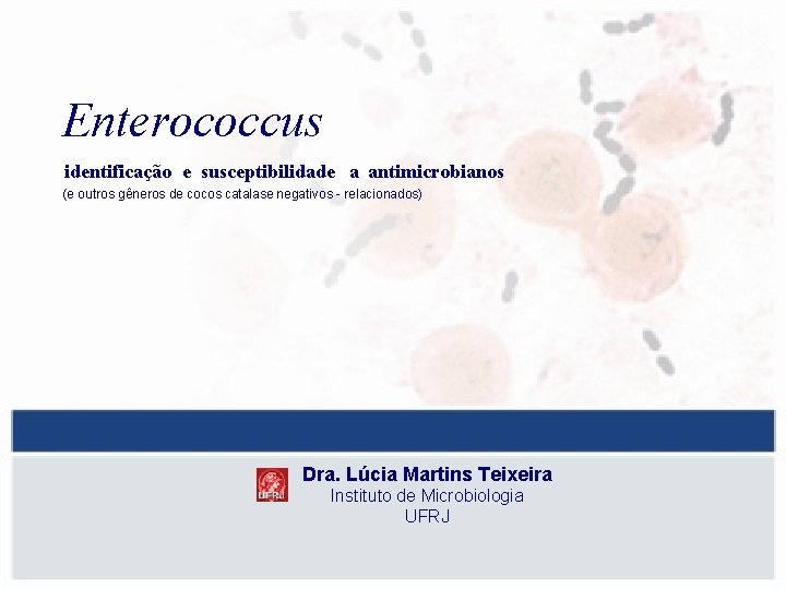 Enterococcus identificação e susceptibilidade a antimicrobianos (e outros gêneros de cocos catalase negativos -