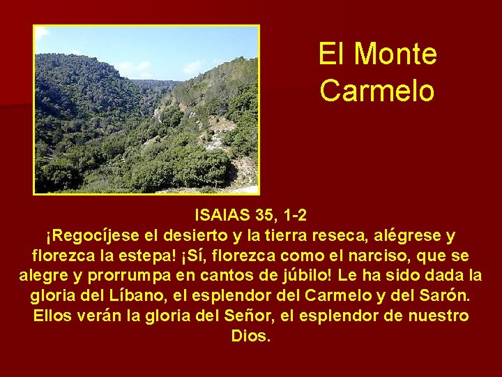 El Monte Carmelo ISAIAS 35, 1 -2 ¡Regocíjese el desierto y la tierra reseca, El Monte Carmelo ISAIAS 35, 1 -2 ¡Regocíjese el desierto y la tierra reseca,