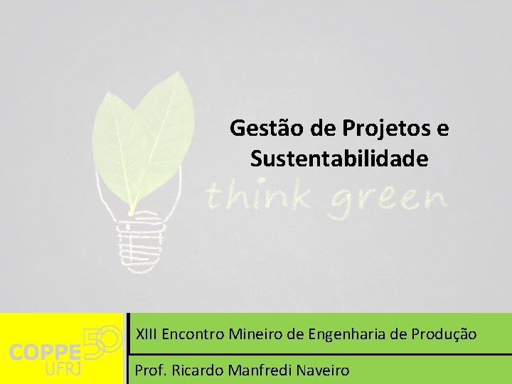 Gestão de Projetos e Sustentabilidade XIII Encontro Mineiro de Engenharia de Produção Prof. Ricardo