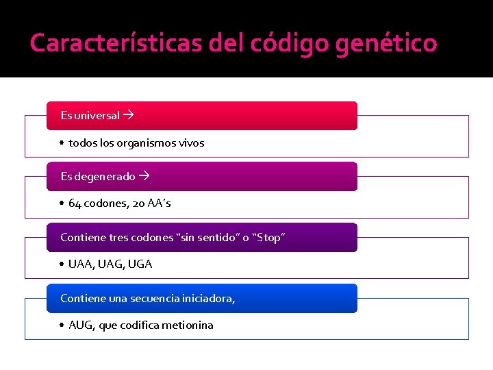 Características del código genético Es universal • todos los organismos vivos Es degenerado • Características del código genético Es universal • todos los organismos vivos Es degenerado •