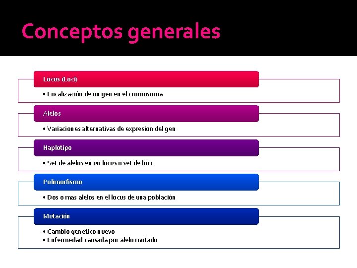 Conceptos generales Locus (Loci) • Localización de un gen en el cromosoma Alelos • Conceptos generales Locus (Loci) • Localización de un gen en el cromosoma Alelos •
