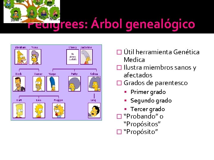 Pedigrees: Árbol genealógico � Útil herramienta Genética Medica � Ilustra miembros sanos y afectados Pedigrees: Árbol genealógico � Útil herramienta Genética Medica � Ilustra miembros sanos y afectados
