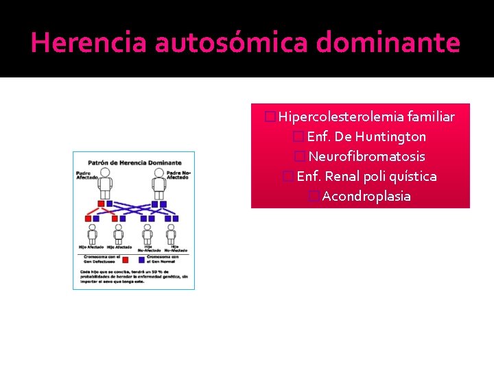 Herencia autosómica dominante �Hipercolesterolemia familiar �Enf. De Huntington �Neurofibromatosis �Enf. Renal poli quística �Acondroplasia Herencia autosómica dominante �Hipercolesterolemia familiar �Enf. De Huntington �Neurofibromatosis �Enf. Renal poli quística �Acondroplasia