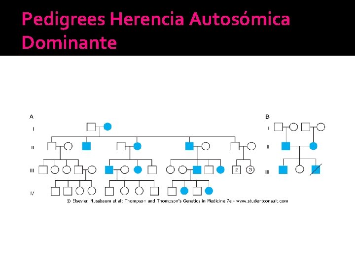 Pedigrees Herencia Autosómica Dominante Pedigrees Herencia Autosómica Dominante
