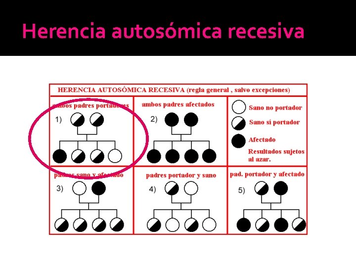 Herencia autosómica recesiva Herencia autosómica recesiva