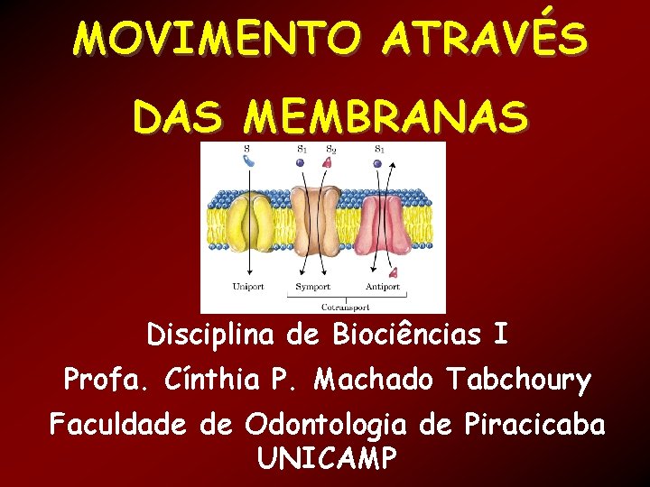 MOVIMENTO ATRAVÉS DAS MEMBRANAS Disciplina de Biociências I Profa. Cínthia P. Machado Tabchoury Faculdade