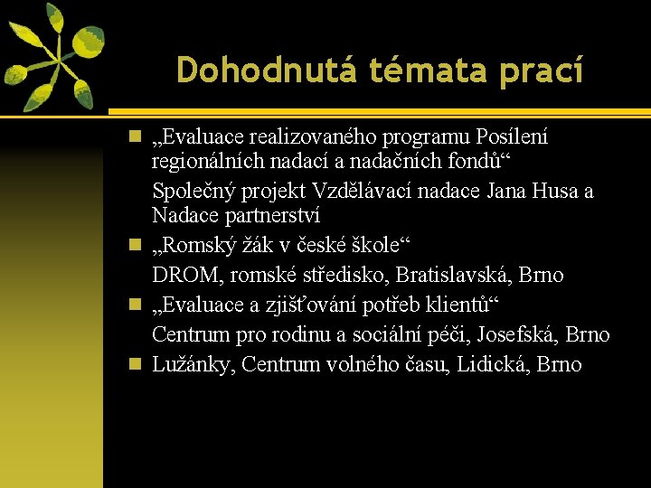 Dohodnutá témata prací n „Evaluace realizovaného programu Posílení regionálních nadací a nadačních fondů“ Společný