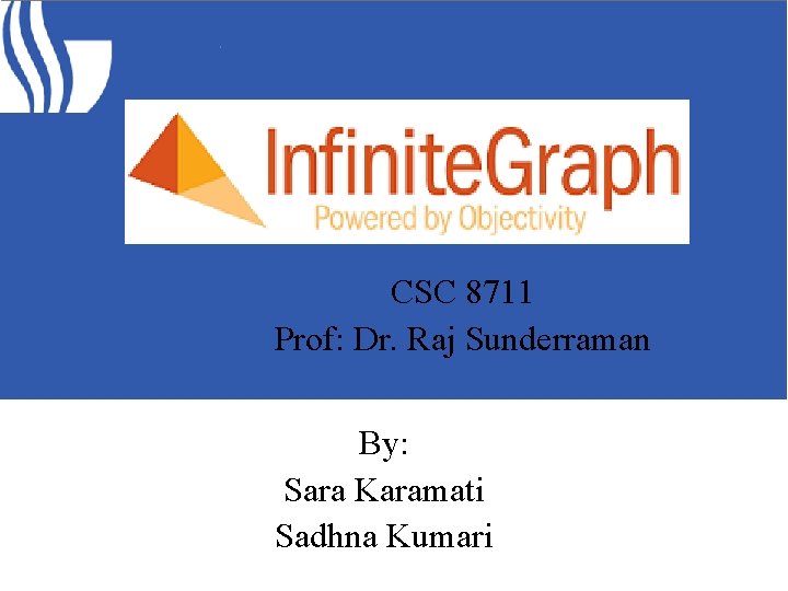 CSC 8711 Prof: Dr. Raj Sunderraman By: Sara Karamati Sadhna Kumari 