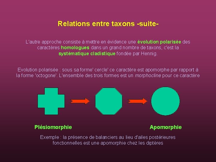 Relations entre taxons -suite. L'autre approche consiste à mettre en évidence une évolution polarisée