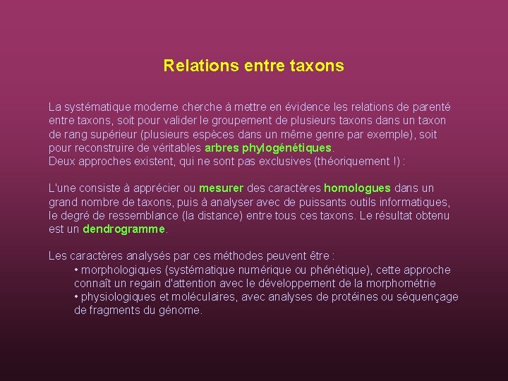 Relations entre taxons La systématique moderne cherche à mettre en évidence les relations de