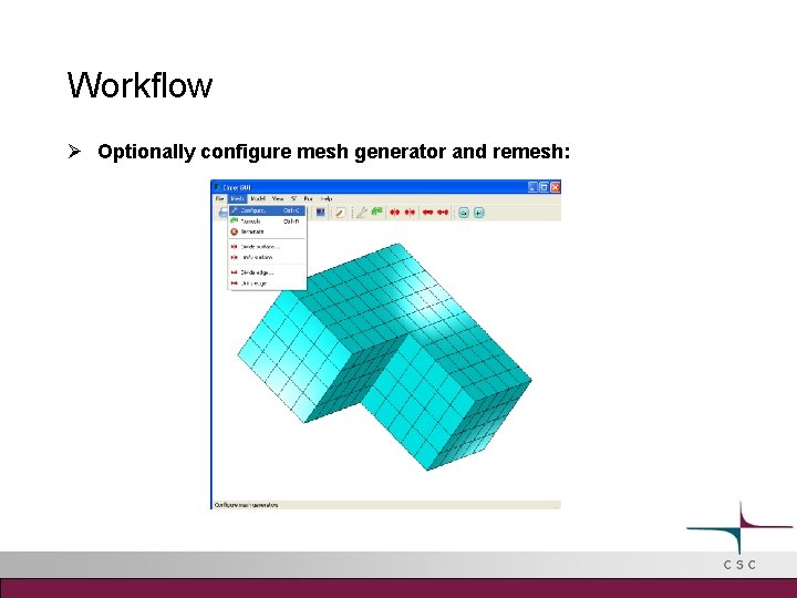 Workflow Optionally configure mesh generator and remesh: 