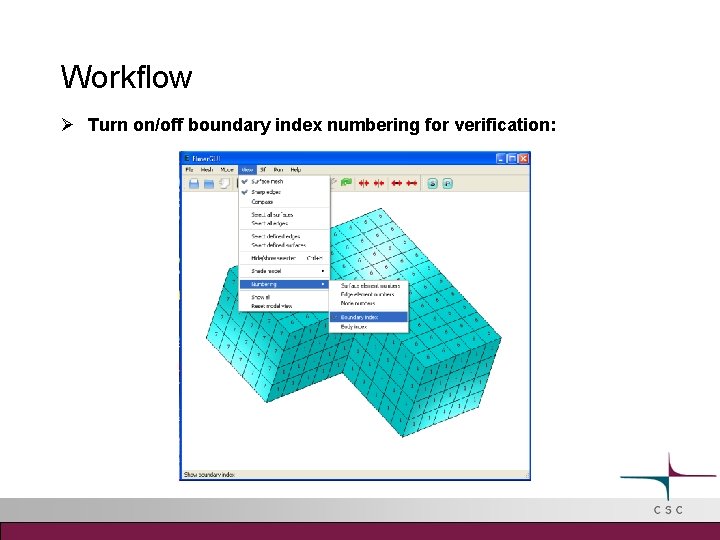 Workflow Turn on/off boundary index numbering for verification: 