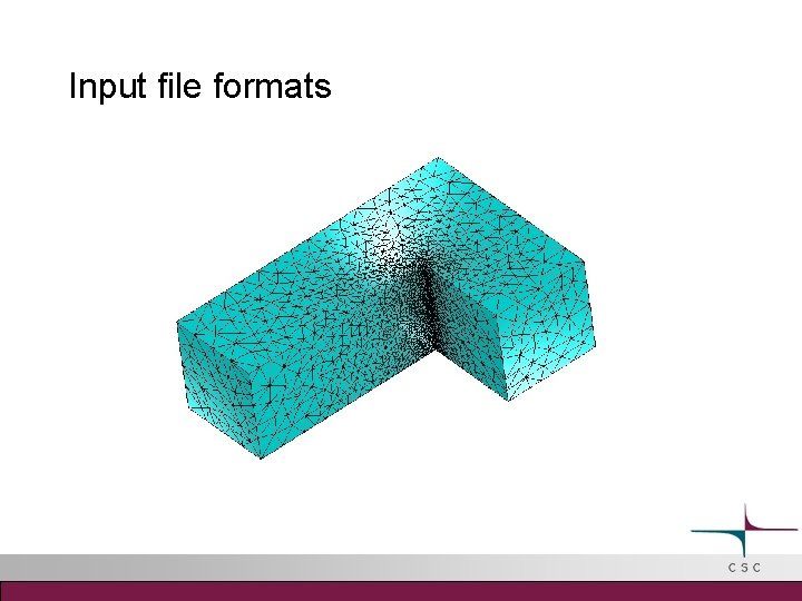 Input file formats 