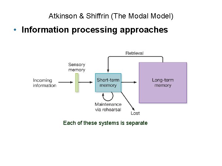 Atkinson & Shiffrin (The Modal Model) • Information processing approaches Each of these systems Atkinson & Shiffrin (The Modal Model) • Information processing approaches Each of these systems