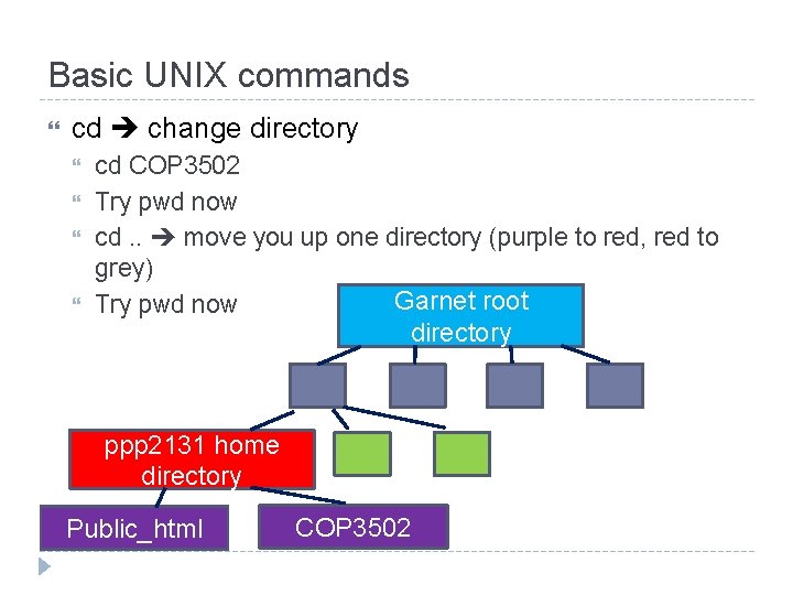 Basic UNIX commands cd change directory cd COP 3502 Try pwd now cd. .