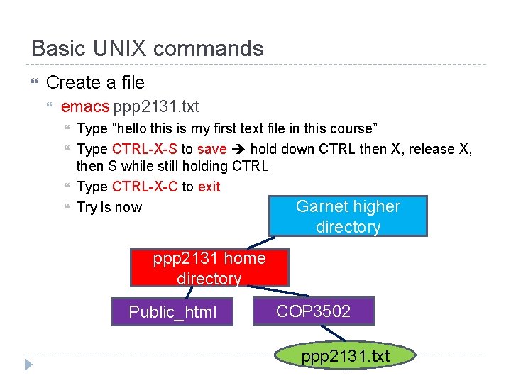 Basic UNIX commands Create a file emacs ppp 2131. txt Type “hello this is