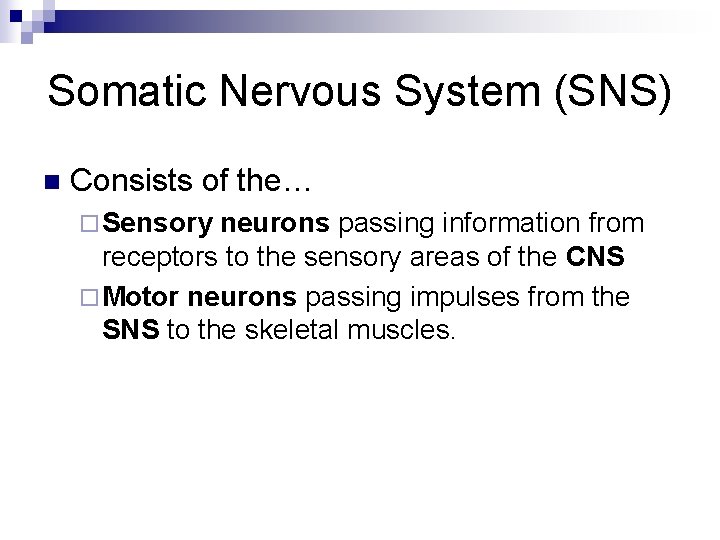 Somatic Nervous System (SNS) n Consists of the… ¨ Sensory neurons passing information from