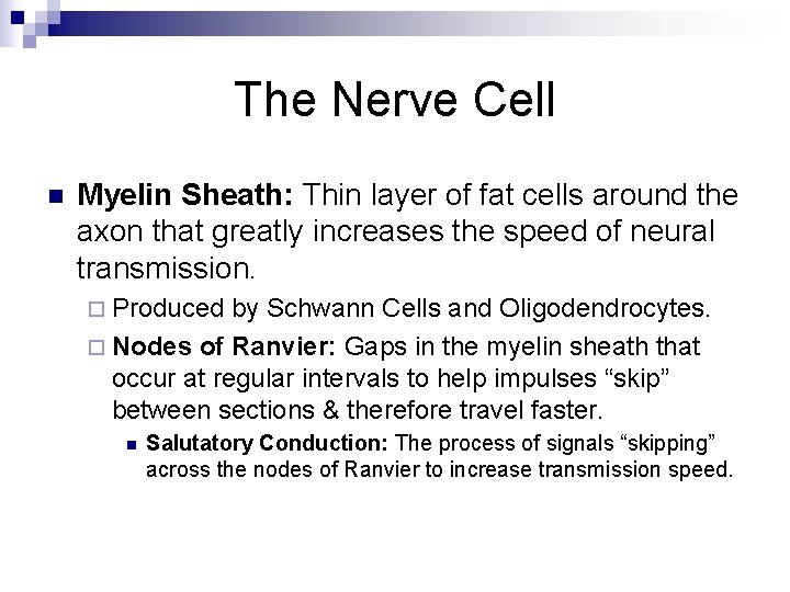 The Nerve Cell n Myelin Sheath: Thin layer of fat cells around the axon