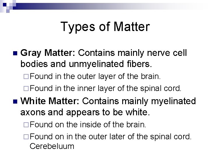 Types of Matter n Gray Matter: Contains mainly nerve cell bodies and unmyelinated fibers.