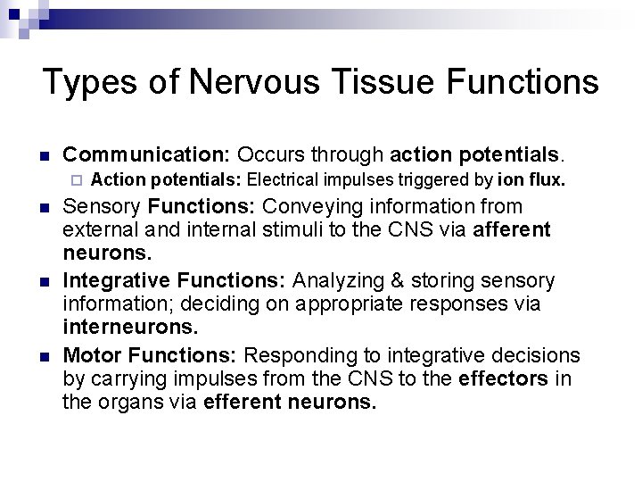 Types of Nervous Tissue Functions n Communication: Occurs through action potentials. ¨ n n